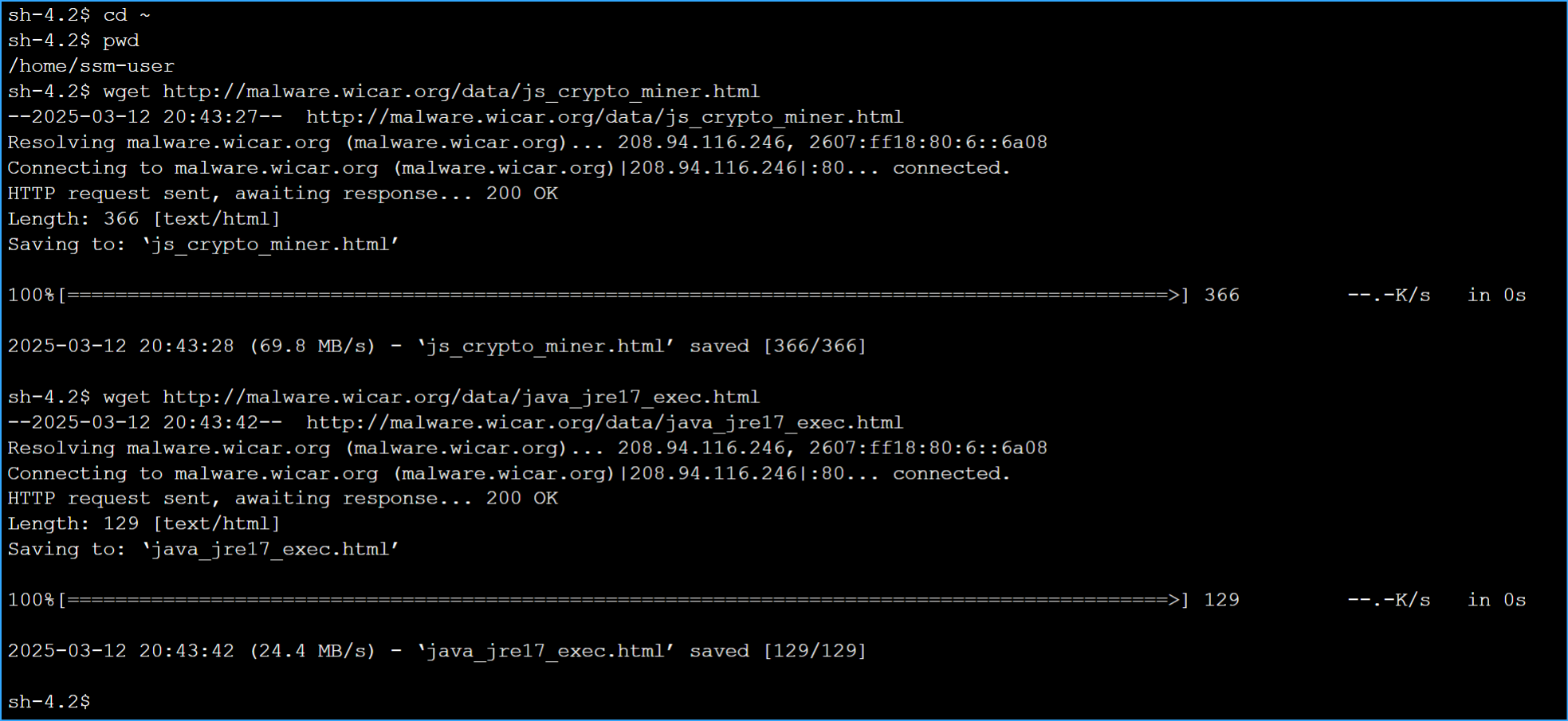 Installed Malware in Protected Environment