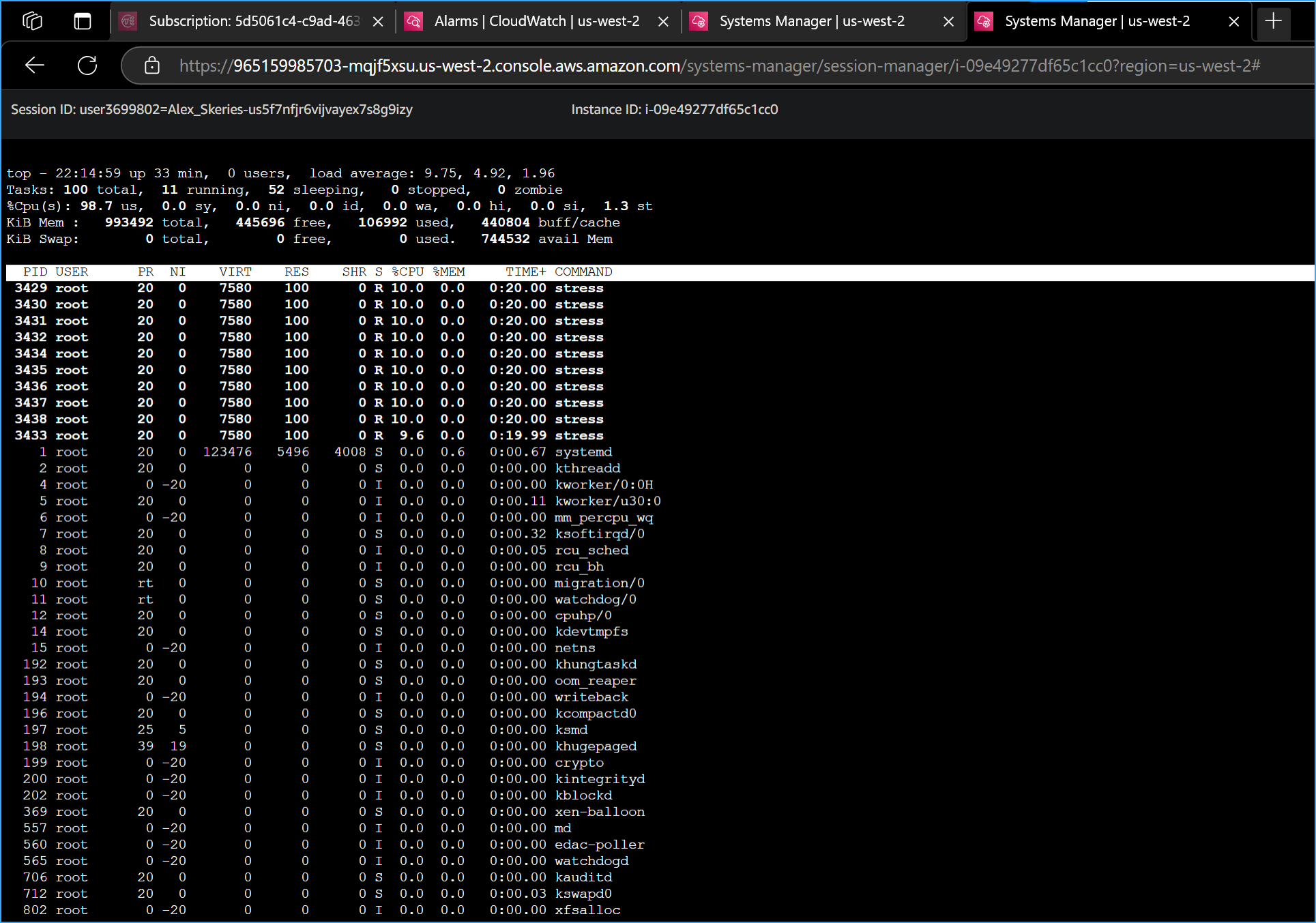 Entered Top CMD in New Terminal to Show Live CPU Usage