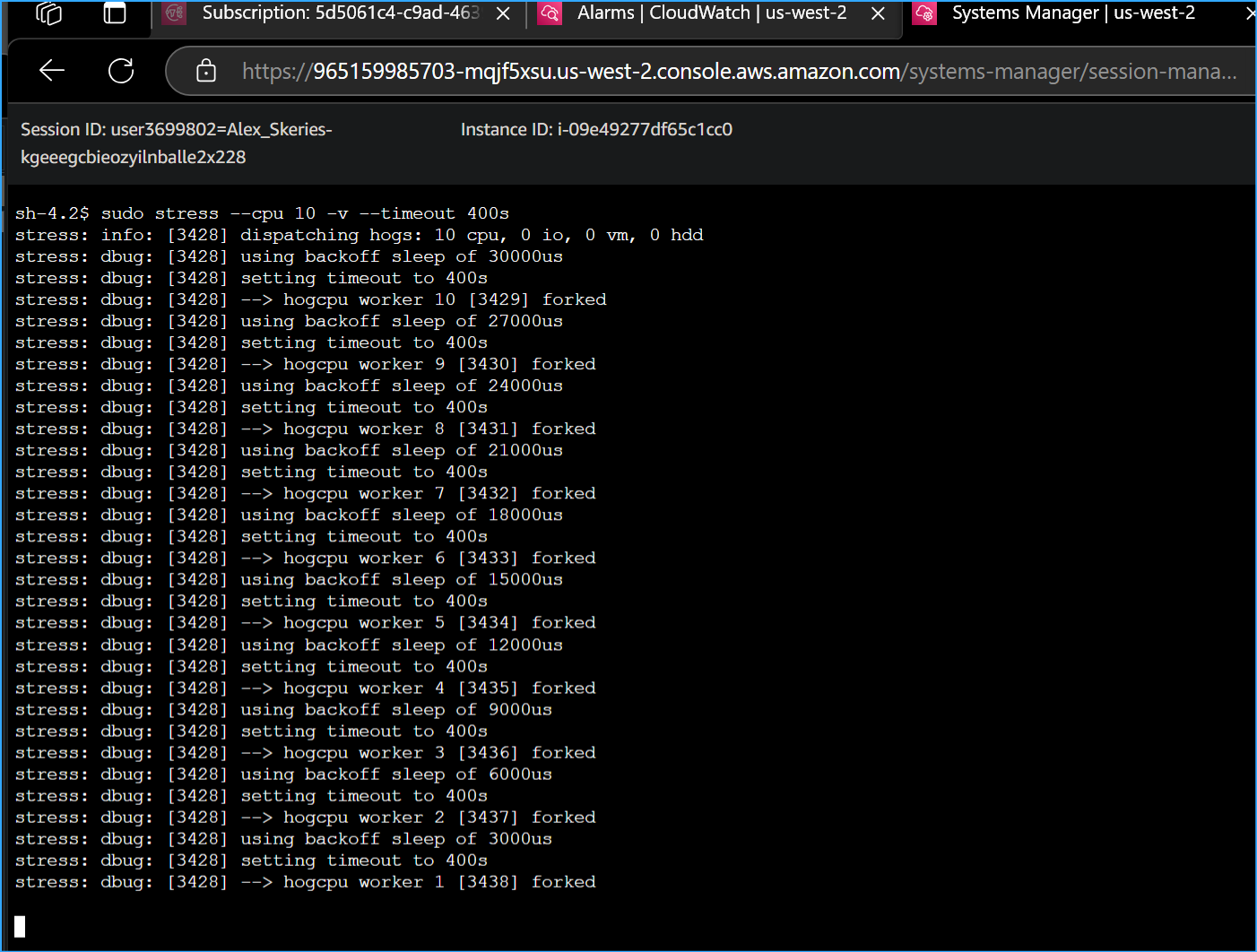 Manually Increased CPU Load of Instance with this CMD