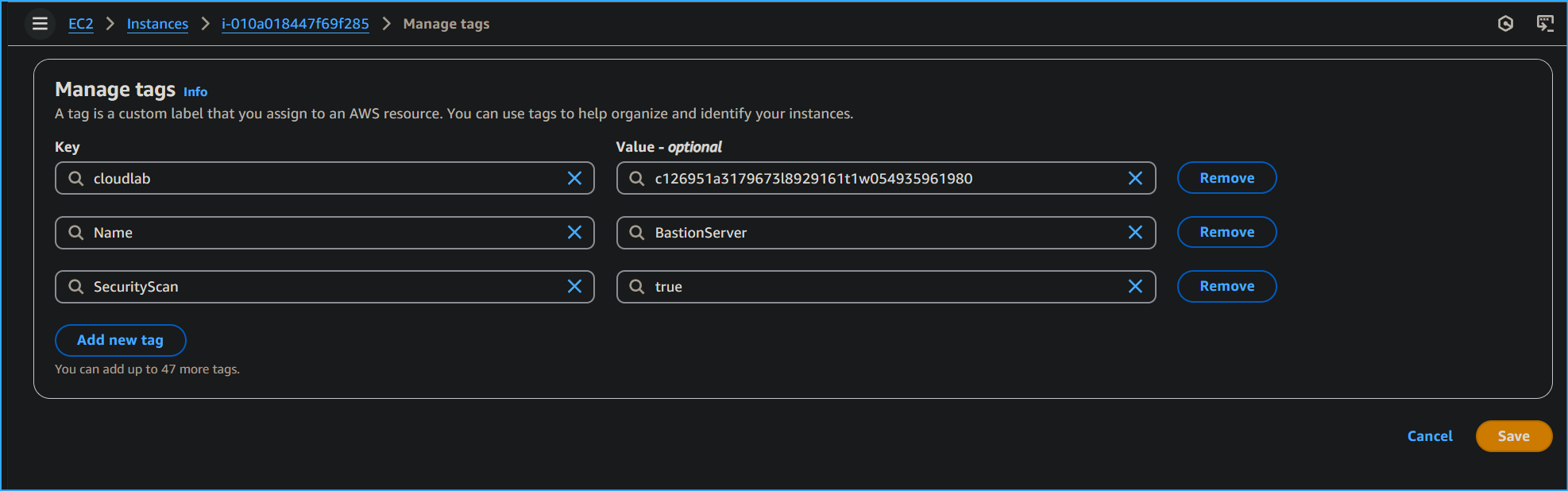 Added security scan tag value true