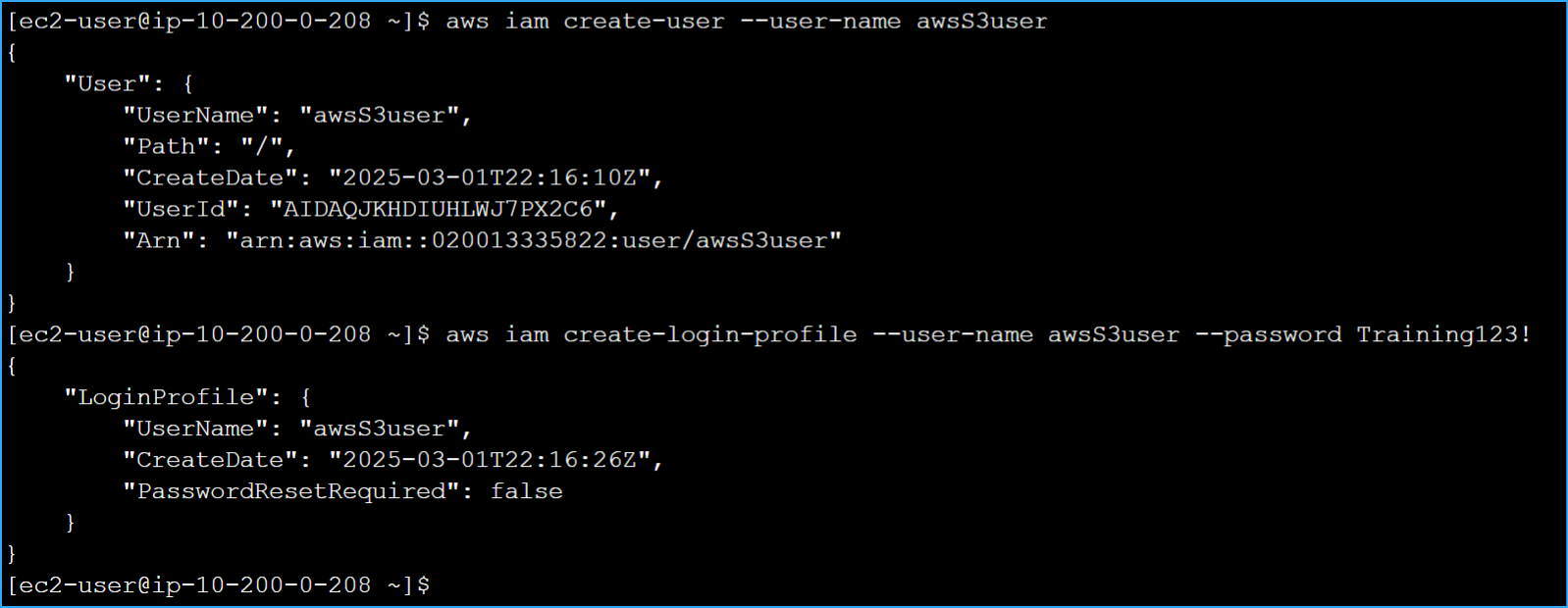 Created new IAM user and login profile