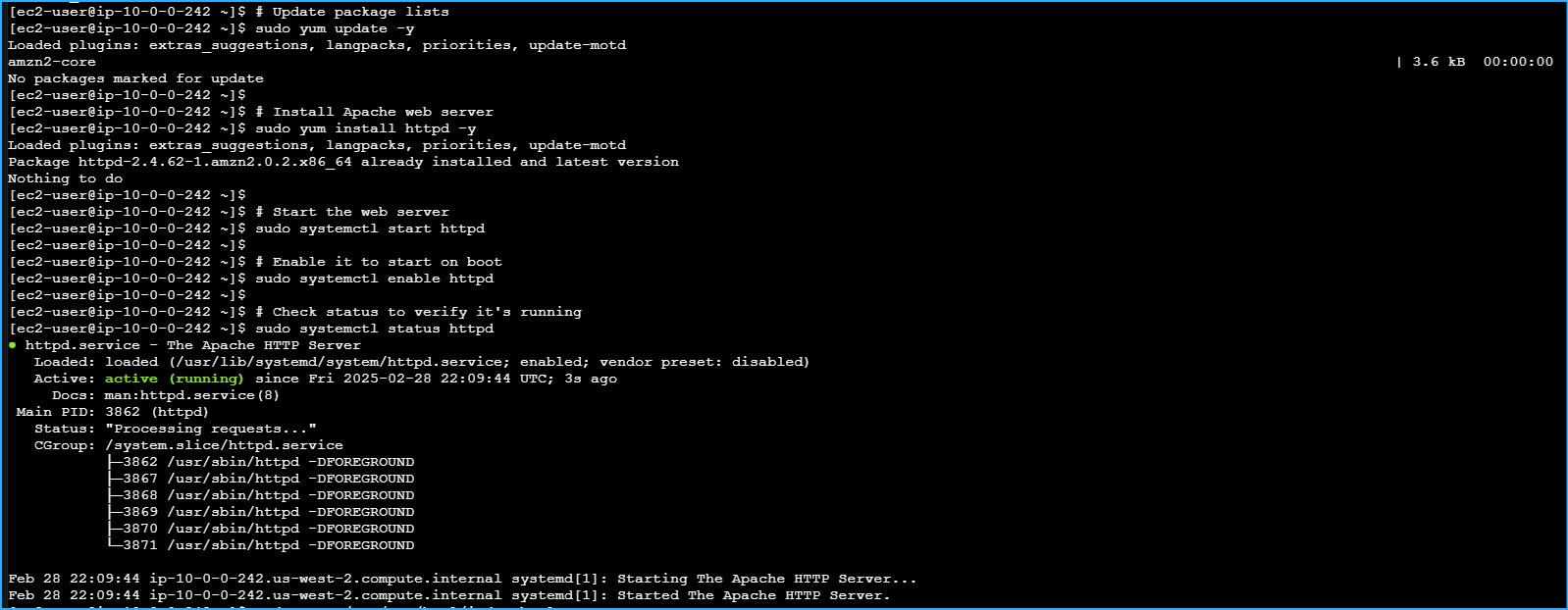 Installed Apache Web Server