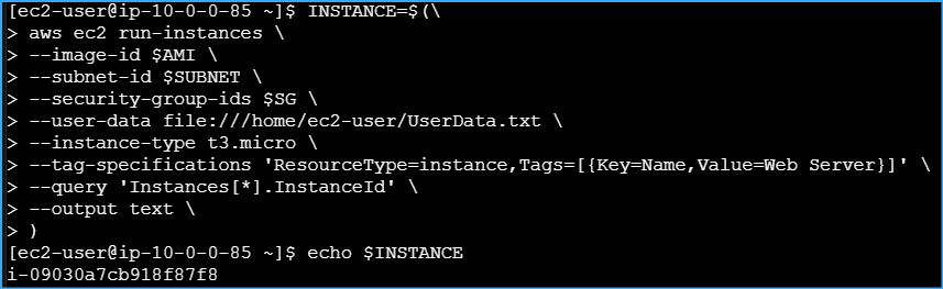 Launched New Instance Using These Parameters