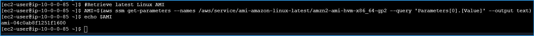 Ran Script for AMI ID Retrieval