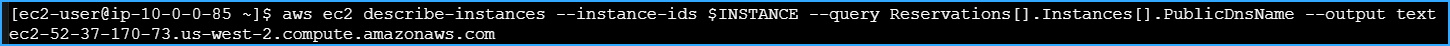 Ran This CMD to Retrieve Public IPv4 DNS Name of Instance