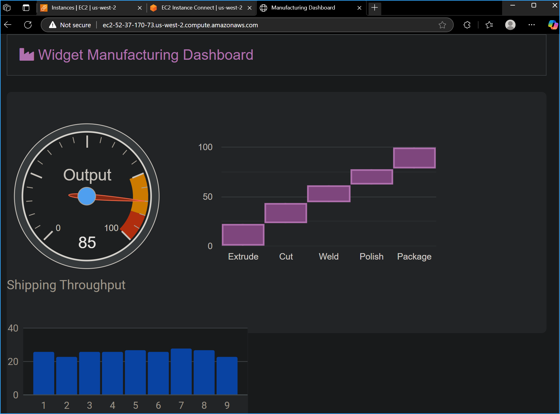 Verified Website Works When Entered in Web Browser