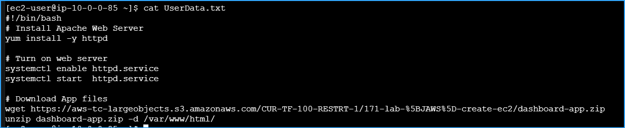 Viewed Contents of User Data Script