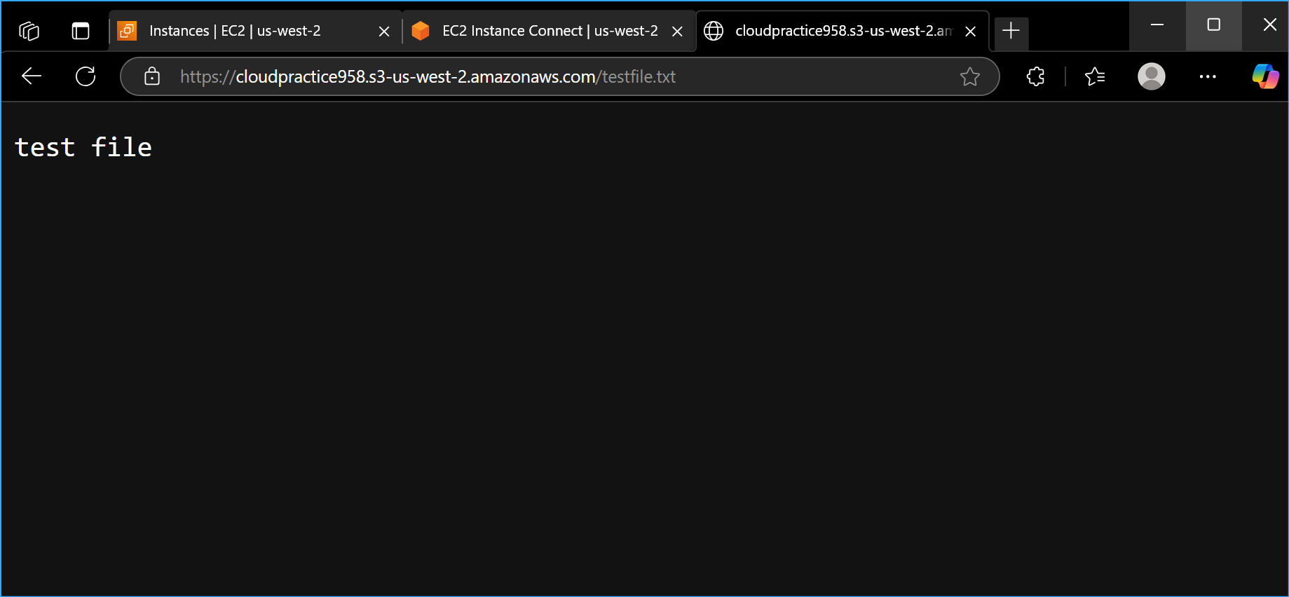 Test file with valid URL