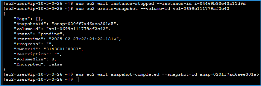 Created Snapshot Volume Of Processor Instance Then Checked Status Of Snapshot