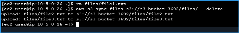 Deleted File1txt On Local Machine Then Synced Local Dir With S3 To Remove Files From S3 That Dont Exist Locally