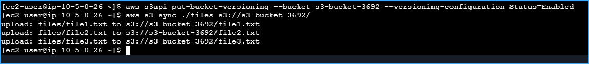 Enabled Bucket Versioning And Synced Files To Newly Created S3 Bucket