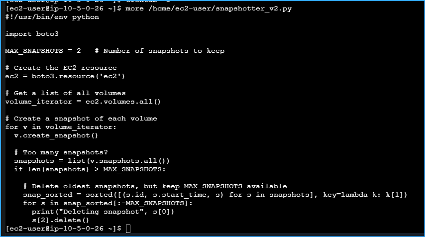 Examining Contents Of Python Script Regarding EBS Volumes