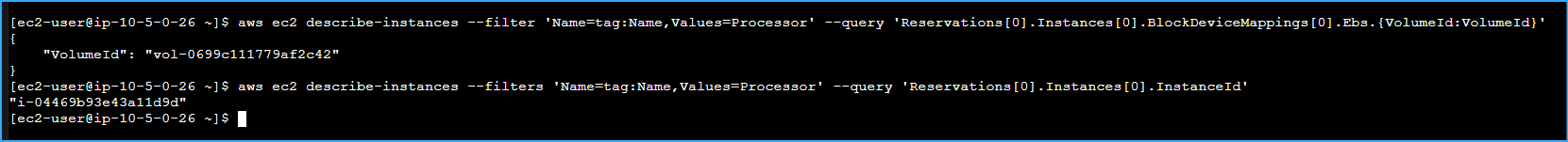 Ran CMDs To Display EBS Volume ID Then Took Snapshot