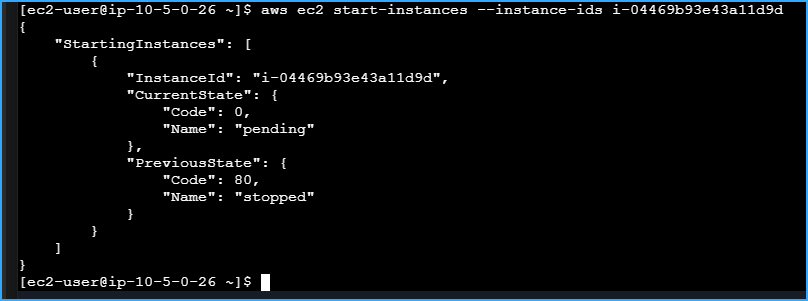 Restarted Processor Instance After Stopping It And Creating Snapshots