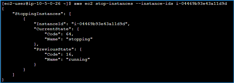 Shut Down Processor Instance