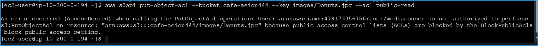 Change Permissions of Object Failed with Error Message as Expected