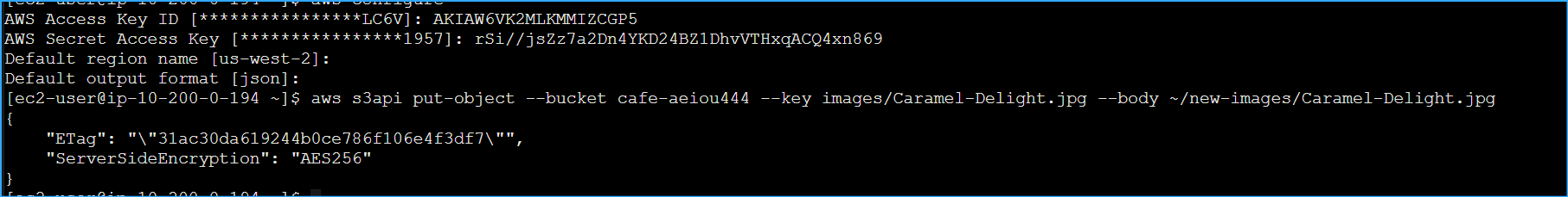 Configured CLI Host to Use MediaCo User Credentials Then Put Image Into S3 Bucket
