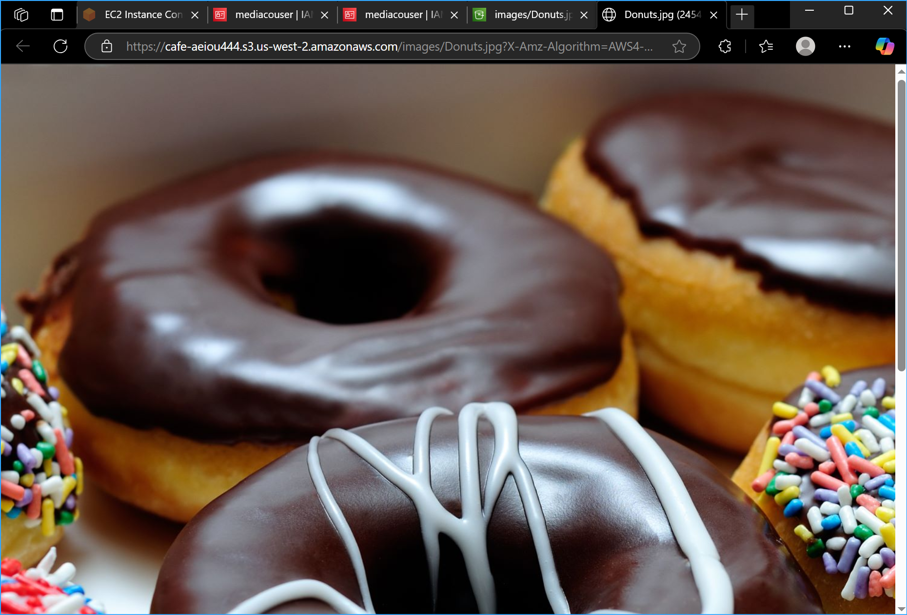 Donuts Image Displays When Clicking Open in Donuts JPG