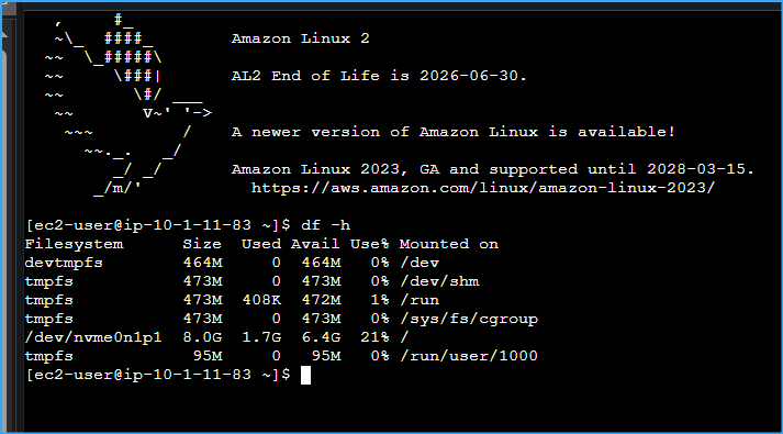 Viewed Storage Available On Instance In EC2 Connect Terminal With This CMD