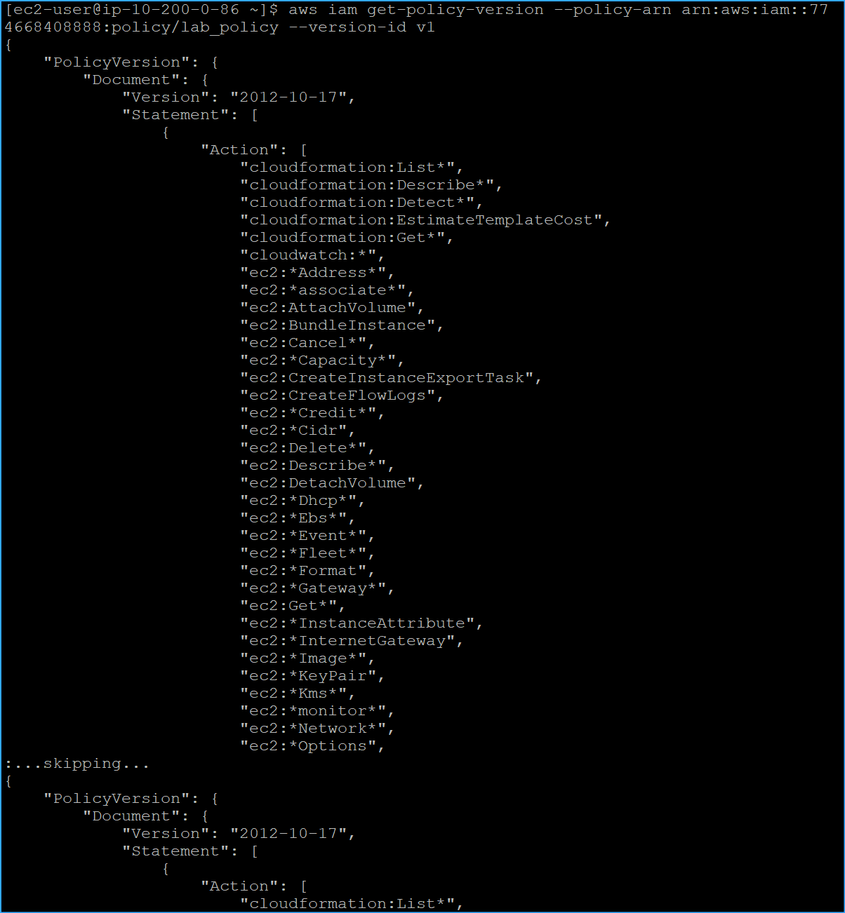 CMD Retrieved JSON Representation Of Specific Policy Version One