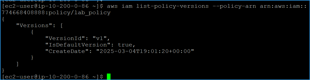 CMD To List All Versions Of Lab Policy With ARN