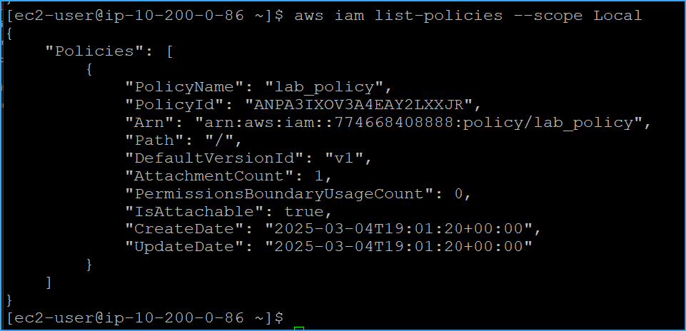 Ran IAM List Policies With Scope Local Parameter