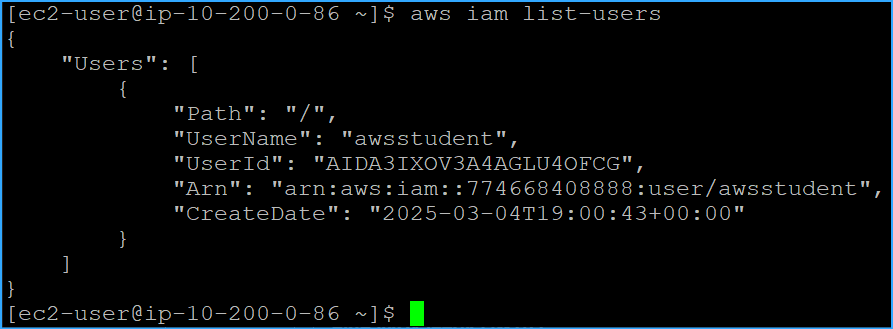 Ran IAM List Users CMD