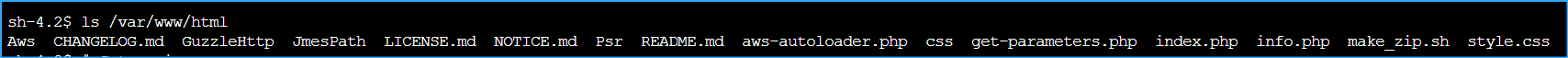 Output Lists Application Files Installed on Instance