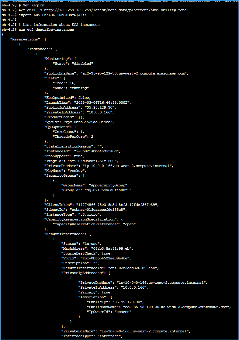 Output Lists Managed Instance Details in JSON One