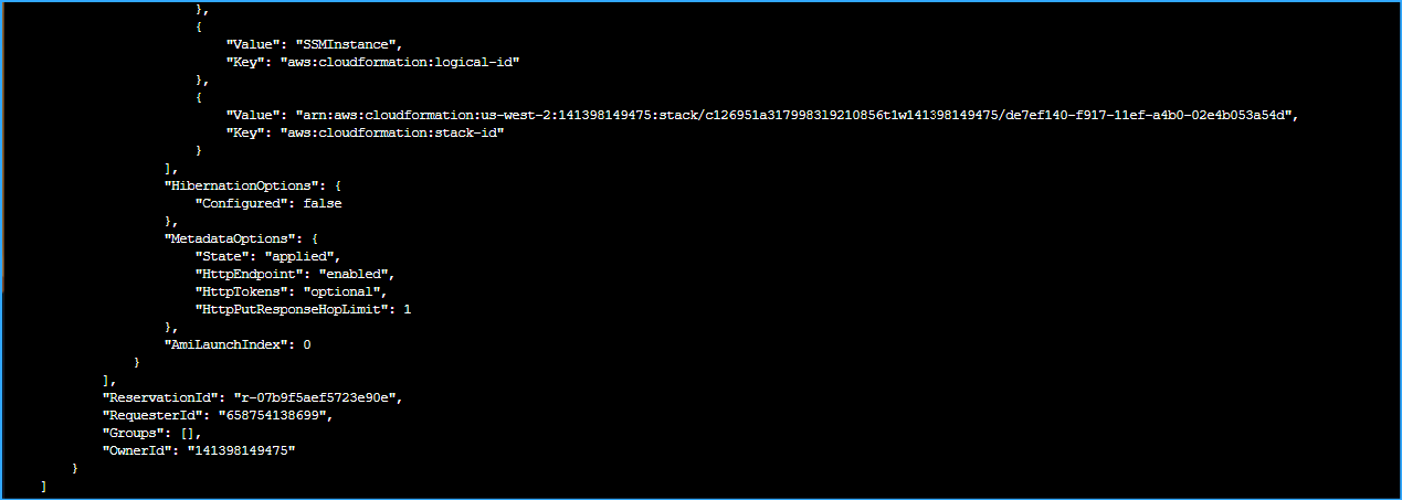 Output Lists Managed Instance Details in JSON Three